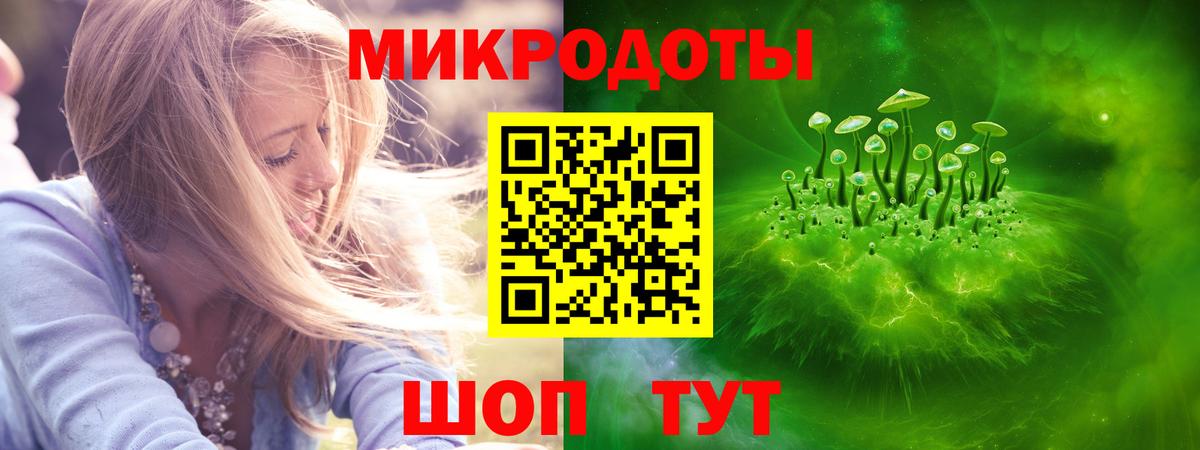 Сорочинск  Галлюциногенные грибы Psilocybe  Вход с VPN 