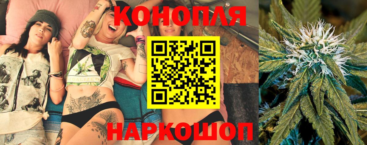 Конопля гибрид Сорочинск